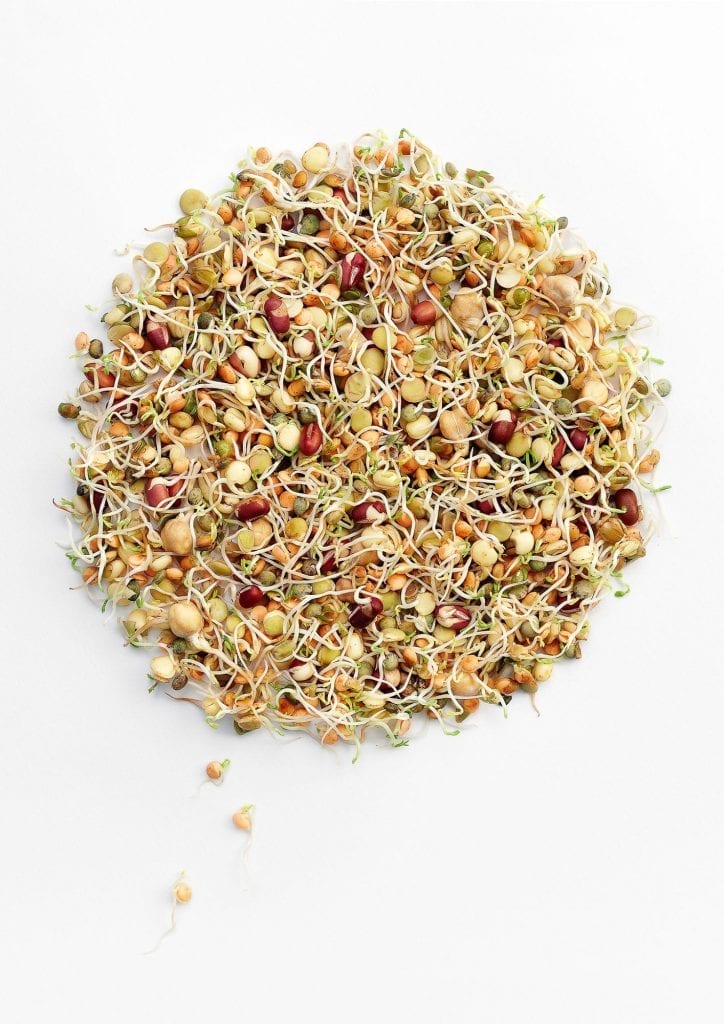 Bean sprouts arranged in a circle on a white background.