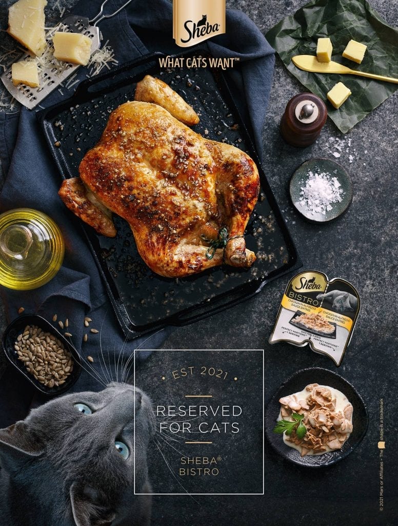 sheba bistro roast chicken magazine portrait