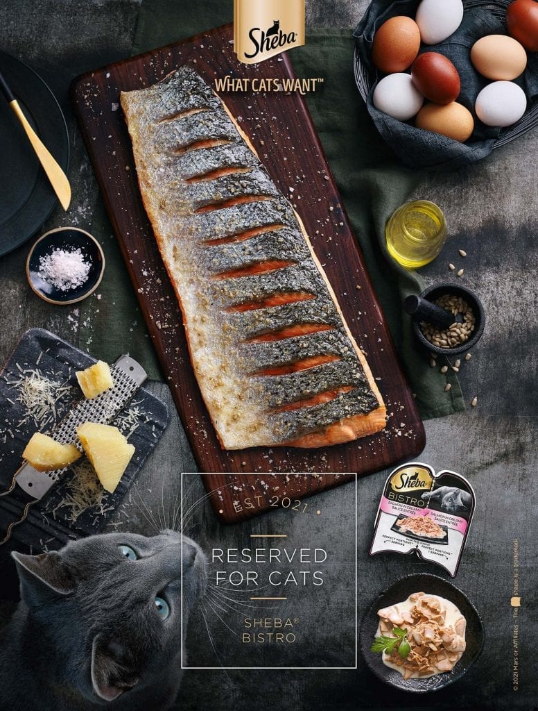 sheba bistro salmon magazine portrait