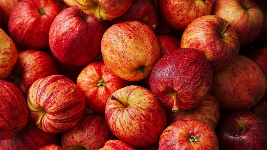 tesco quality seal gala apples macro image