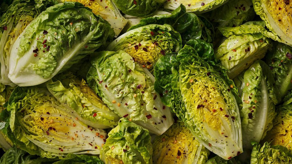 tesco quality seal baby gem lettuces macro image